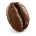 Ultra close up image of a single medium roast coffee bean